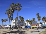 Venice Beach  Los Angeles  California  United States of America  North America