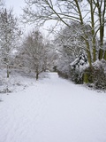Snow Covered Footpath  Hampstead Heath  London  England  United Kingdom  Europe