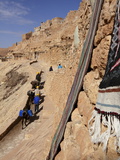 Local Workers Using Donkeys at Hillside Berber Village of Chenini  Tunisia