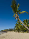 The Beautiful Beach of Andilana  Nosy Be  Madagascar  Indian Ocean  Africa