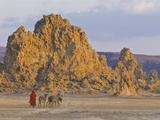 Local Afar Woman With Her Donkeys on Her Way Home  Lac Abbe  Republic of Djibouti  Africa