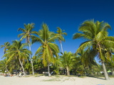 The Beautiful Beach of Andilana  Nosy Be  Madagascar  Indian Ocean  Africa