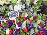 Flowers on Display in the Bloemenmarkt (Flower Market)  Amsterdam  Netherlands  Europe