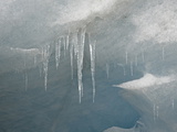 Icicles on the Face of the Athabasca Glacier  Jasper National Park  Alberta  Canada