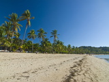The Beautiful Beach of Andilana  Nosy Be  Madagascar  Indian Ocean  Africa