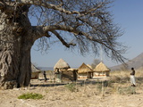 Traditional Settlement and Large Baobab Tree Near Lake Kariba  Zimbabwe  Africa