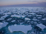 Pack Ice at Midnight  Southern Ocean  Antarctic  Polar Regions