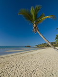 The Beautiful Beach of Andilana  Nosy Be  Madagascar  Indian Ocean  Africa