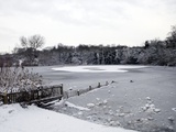 Frozen Pond  Hampstead Heath  London  England  United Kingdom  Europe