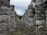 Columns in the Temple of a Thousand Warriors  Chichen Itza  Yucatan  Mexico  North America