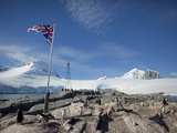 Penguin Colony  English Research Station  Port Lockroy  Antarctic Peninsula