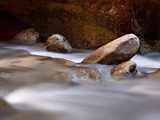 Round Rocks in the Virgin River Near the Narrows  Zion National Park  Utah  USA