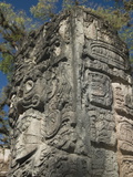 Mayan Glyphs on the Side of Stela  Copan Archaeological Park  UNESCO World Heritage Site  Honduras