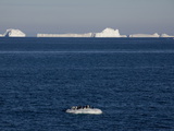 Adelie Penguins (Pygoscelis Adeliae) on Ice Floe  Dumont D'Urville  Antarctica  Polar Regions