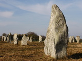 Menec Menhirs in Carnac  Morbihan  Brittany  France  Europe