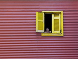 Child at a Window  La Boca  Buenos Aires  Argentina  South America