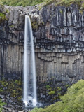 Svartifoss (The Black Falls)  Skaftafell National Park  Iceland  Polar Regions