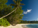 Beach of Anse Cocos  La Digue  Seychelles  Indian Ocean  Africa