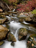 Cascades on Peteetneet Creek  Nebo Loop  Uinta National Forest  Utah  USA