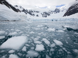 Glacier  Paradise Bay  Antarctic Peninsula  Antarctica  Polar Regions