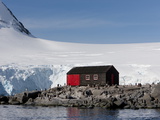 Penguin Colony  English Research Station  Port Lockroy  Antarctic Peninsula