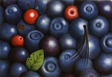 Blaubeeren / Myrtilles