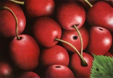 Kirschen / Cerises