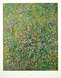 Kleewiese