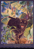 Black Jaguar