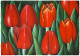 Rote Tulpen