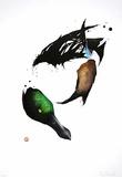 Ente/ Carnard