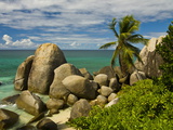 Granite Rocks and Palm Trees  Mahe  Seychelles  Indian Ocean  Africa