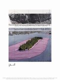 Surrounded Islands  Miami II