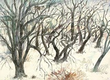 Baumlandschaft im Winter
