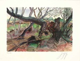 Waldlandschaft auf Moen