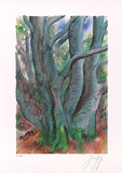 Baum I  c2001