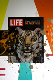 Tiger  Tiger burning bright