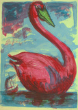 Svane  rot