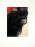 Stier Rot  c2001