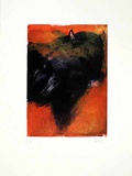 Stier Orange  c2001