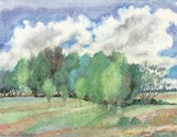 Landschaft mit Birken