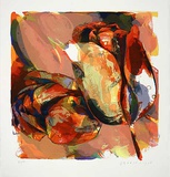 Tulpen Nieuwe Meer  c1998