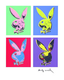 Bunny Multiple