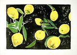 Zitronen  c2003