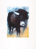Stier Blau  c2001