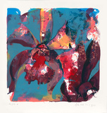 Orchid Hapuna  c1999