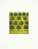 Plantage