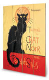 Chat Noir
