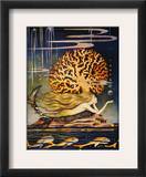 Andersen: Little Mermaid