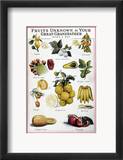 New Fruits  C1950S
